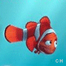 Icon Disney picture