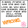 Icon Friends picture