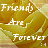 Icon Friends picture