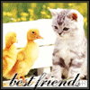 Icon Friends picture