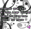 Icon Friends picture