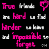Icon Friends picture