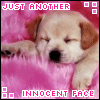 Icon picture