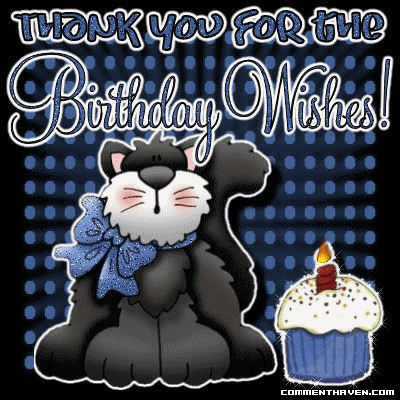 Cat Bd Thankyou picture for facebook