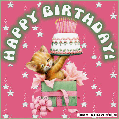 Cat Holding Cake picture