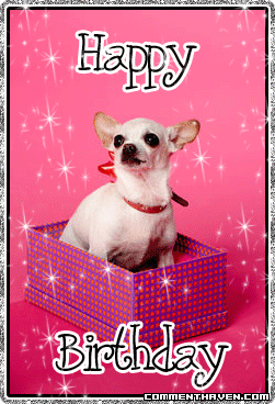 Chihuahua Bday Glitter picture for facebook