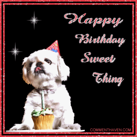 Dog Cupcake Sweet Thing picture