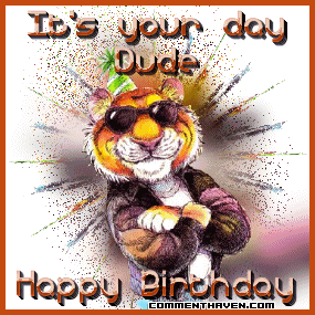 Dude Birthday Tiger picture for facebook