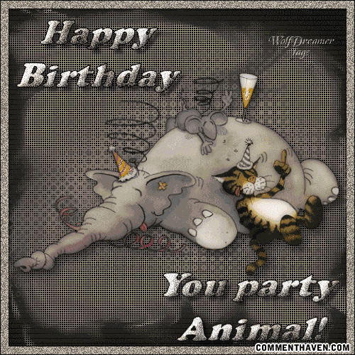 You Party Animal picture for facebook