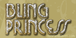 Blingprincess Banner picture for facebook