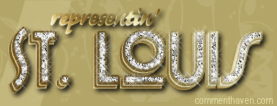 Stlouos Banner picture