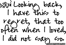 Did Not Say So picture