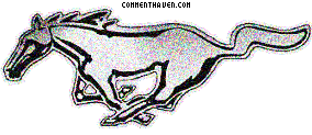 Car Label picture