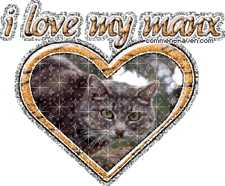 Manx picture