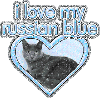 Russianblue picture for facebook