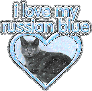 Russianblue picture