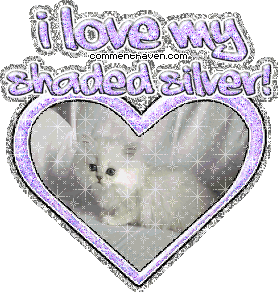 Shadedsilver picture