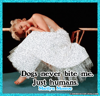 Celebrity Quote picture