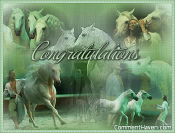 Horses Congratulations comment