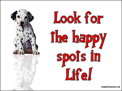 Happy Spots picture for facebook