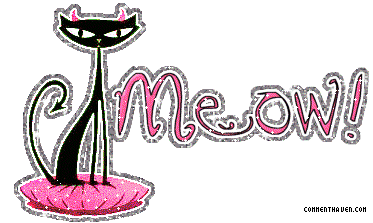 Meow picture for facebook