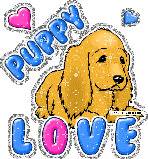 Puppy Love picture for facebook