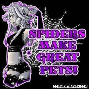 Spider Pet picture for facebook