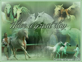 Horses Great Day picture