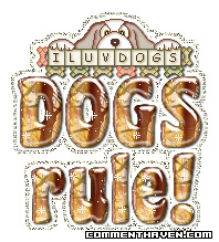 Dogs Rulee picture