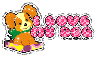 I Love My Dog picture