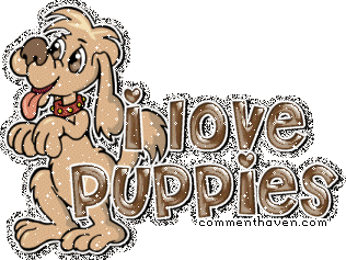 I Love Puppies W picture