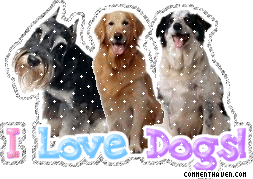 I Love picture
