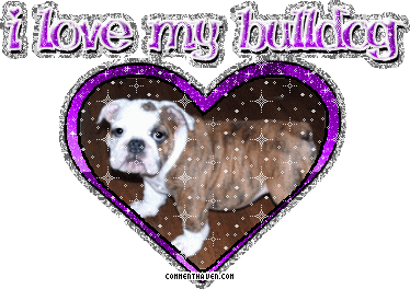 I Love My Bulldog picture