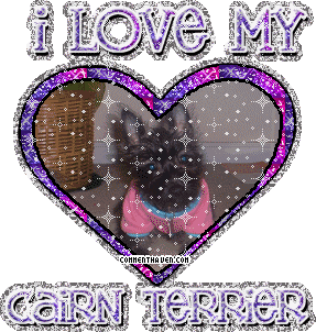 I Love My Cairnterrier picture
