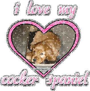 I Love My Cockerspaniel picture