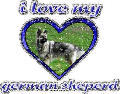 I Love My Germansheperd picture