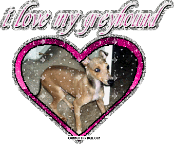 I Love My Greyhound picture