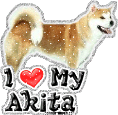 I Love My Akita picture
