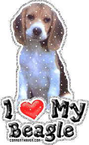 I Love My Beagle picture