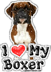 I Love My Boxer picture