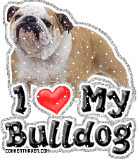 I Love My Bulldog picture