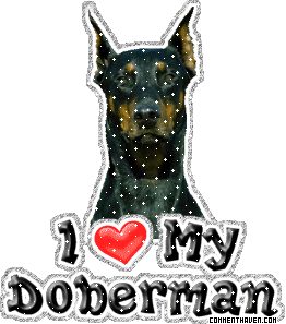 I Love My Doberman picture