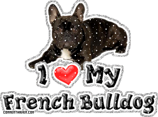 Dog Breeds