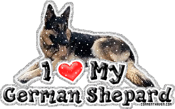 I Love My German Shepard picture