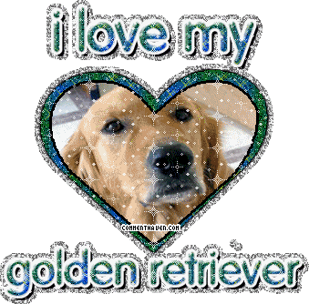 I Love My Golden Retriever picture