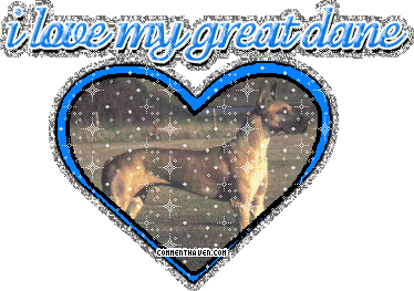 I Love My Great Dane picture