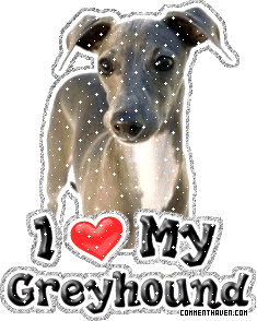 I Love My Greyhound picture