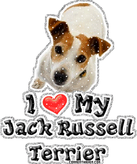I Love My Jack picture