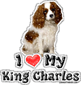 I Love My King Charles picture