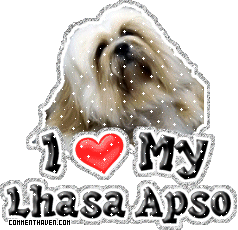 I Love My Lhasa Apso picture